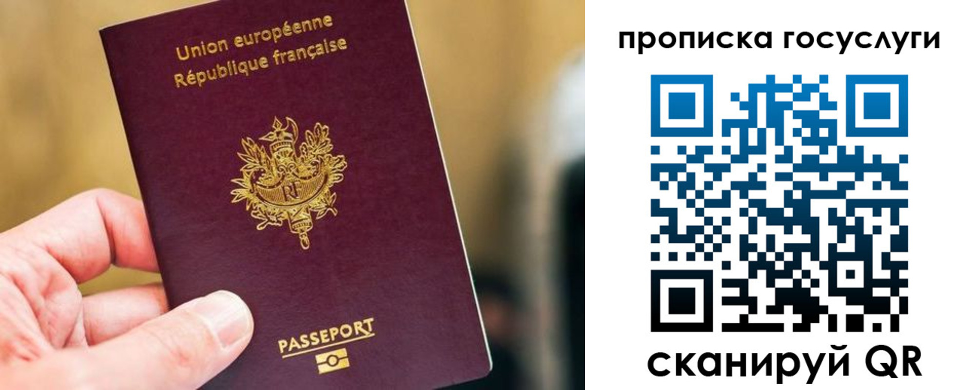 временная регистрация поиск в Щиграх